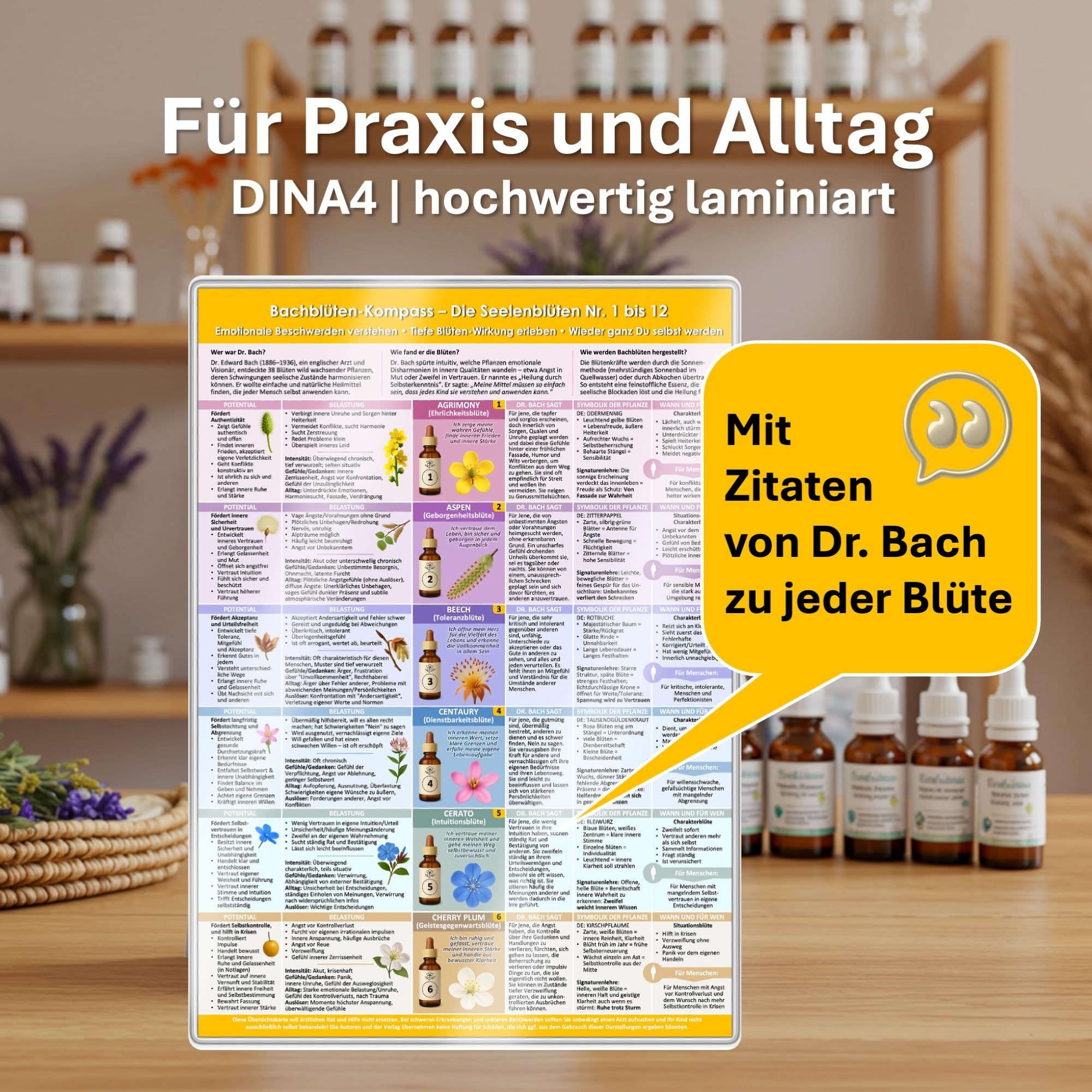 [5er Set] Das Leben im Einklang Set - Intuitiv leben mit der Kraft der Natur & alternativen Heilmethoden: – von MBSR Meditation, Bachblüten, grünen ... & Achtsamkeit (DINA 4, laminiert)