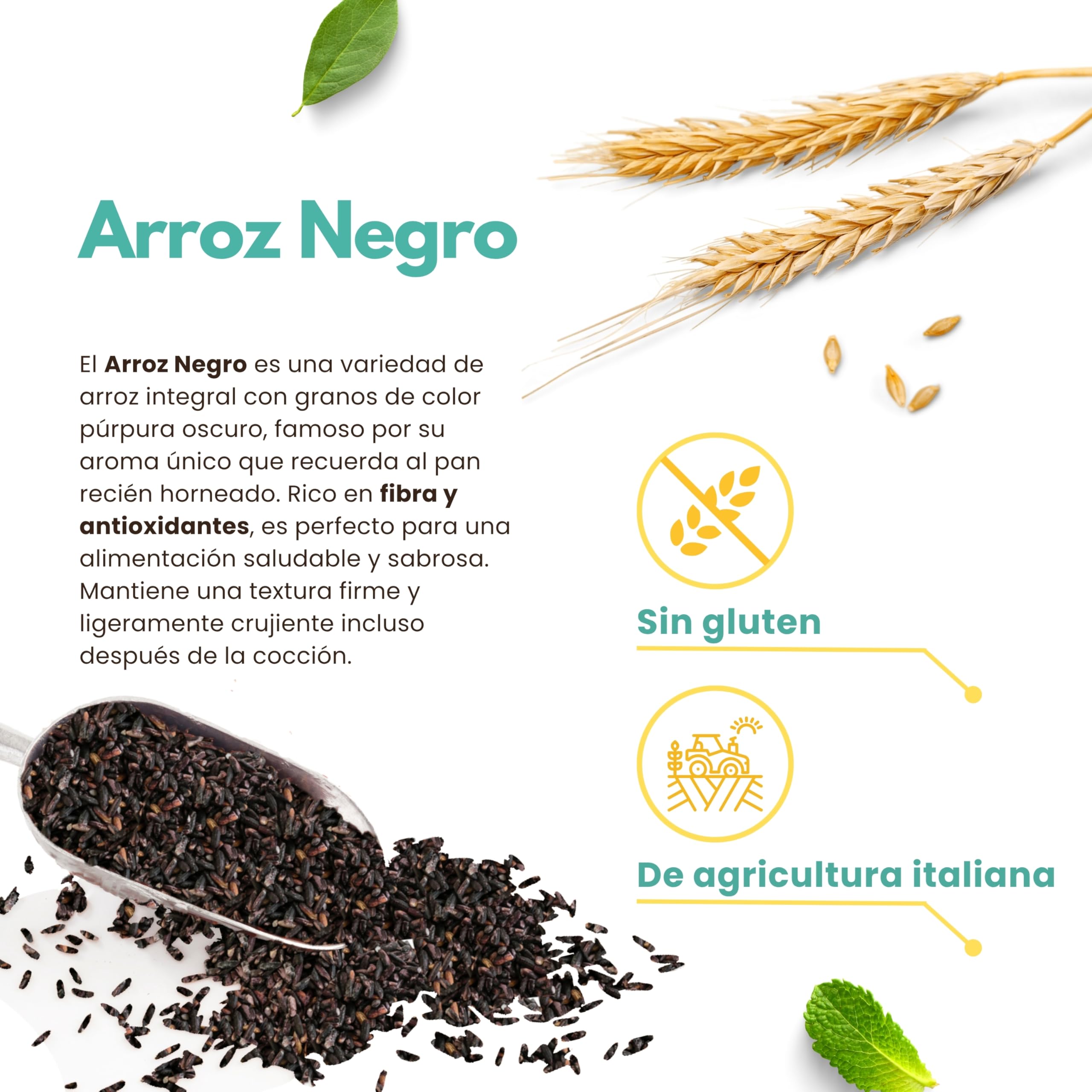 Arroz Negro Integral Italiano 6 kg (6x1 kg) – Tipo Venere – Rico en Fibra | 6 paquetes de 1 kg de arroz negro integral italiano tipo Venere, cultivado en Vercelli y naturalmente sin gluten