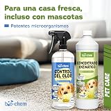 Ver la foto 2