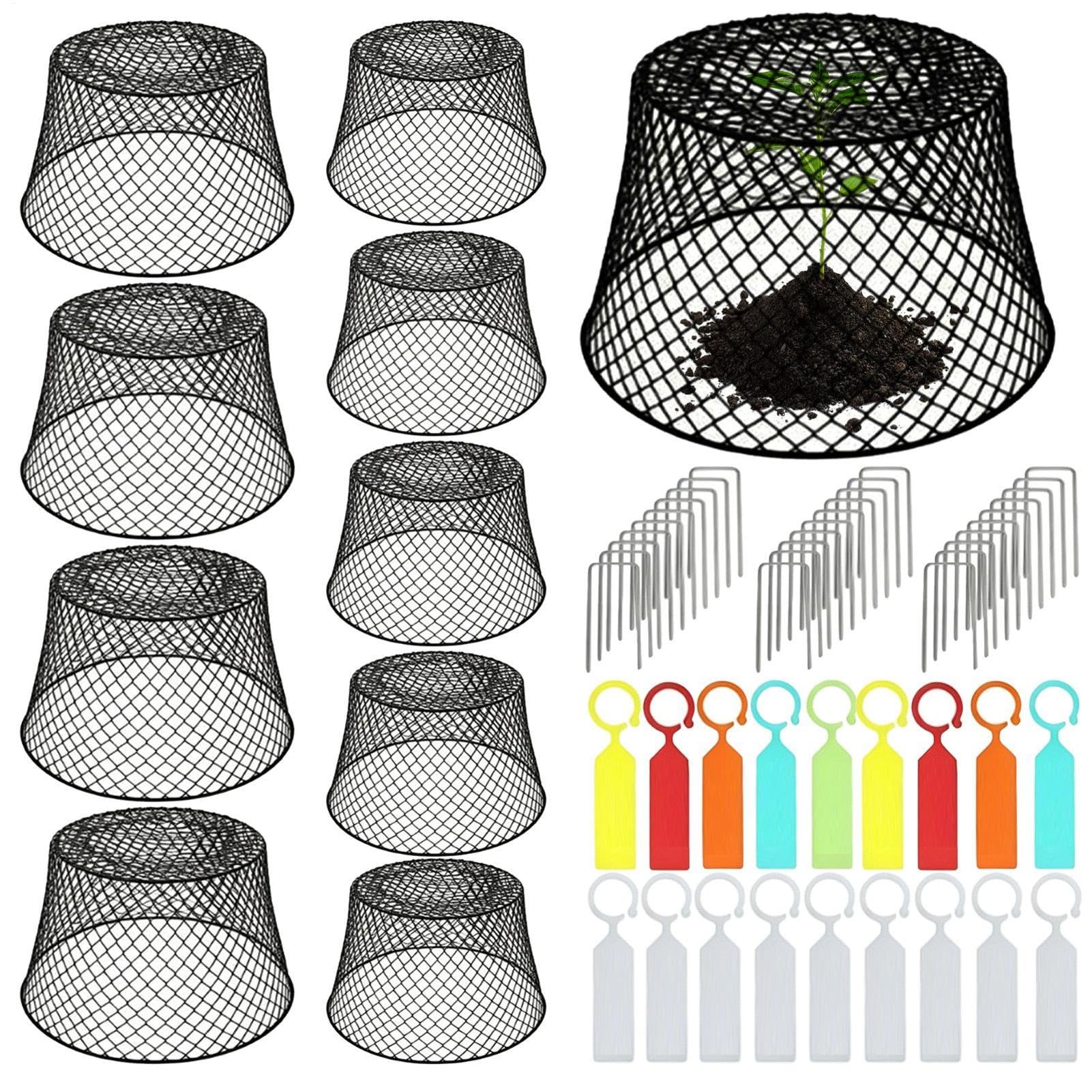 Cloche de Protection pour Lot de 10 Filets de Protection