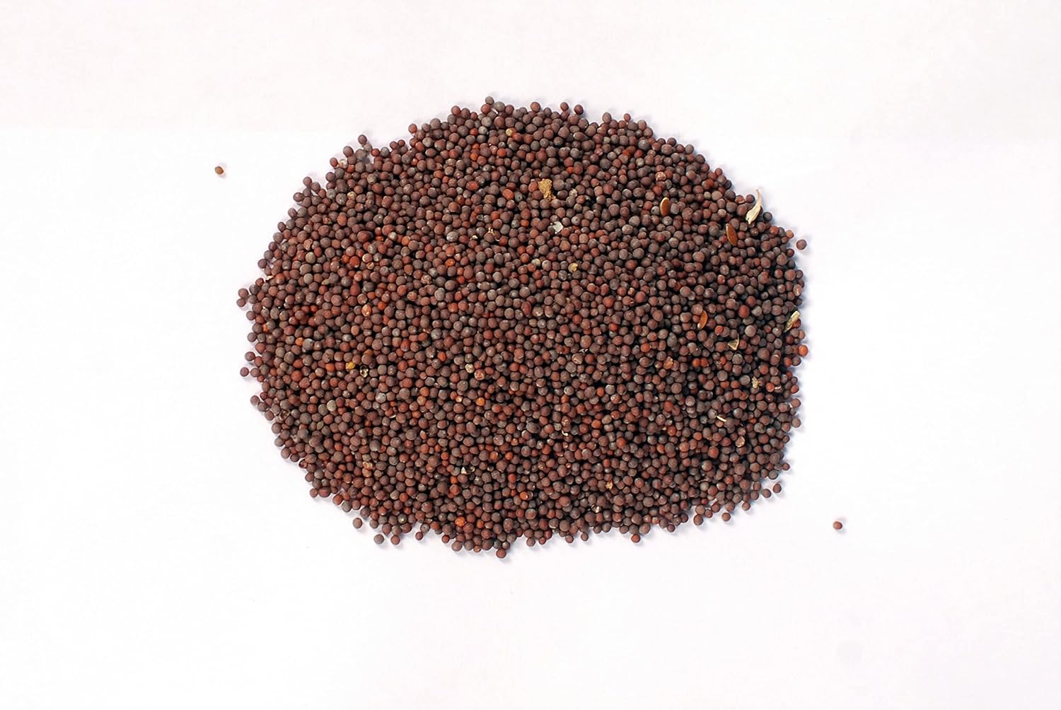 Mustard Seeds (Rai) Small, 200g, 500g, 1kg (500grams) : Amazon.in ...