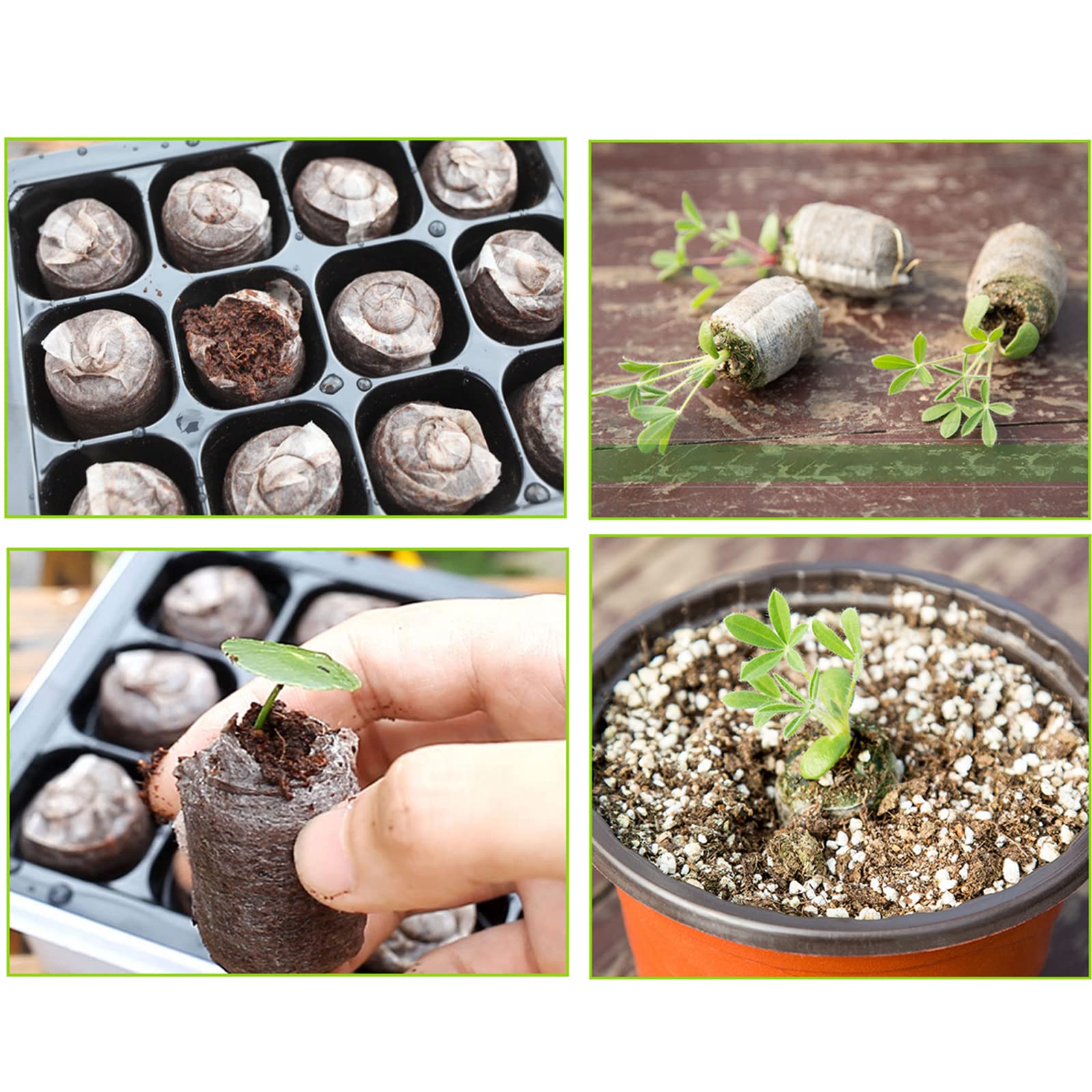 Vassoi per Propagatore di Semi, 9 Pezzi Vassoio di Germinazione con 12 buche di impianto con umidità Regolabile, Mini Serra con Ventilazione per la Crescita delle piantine