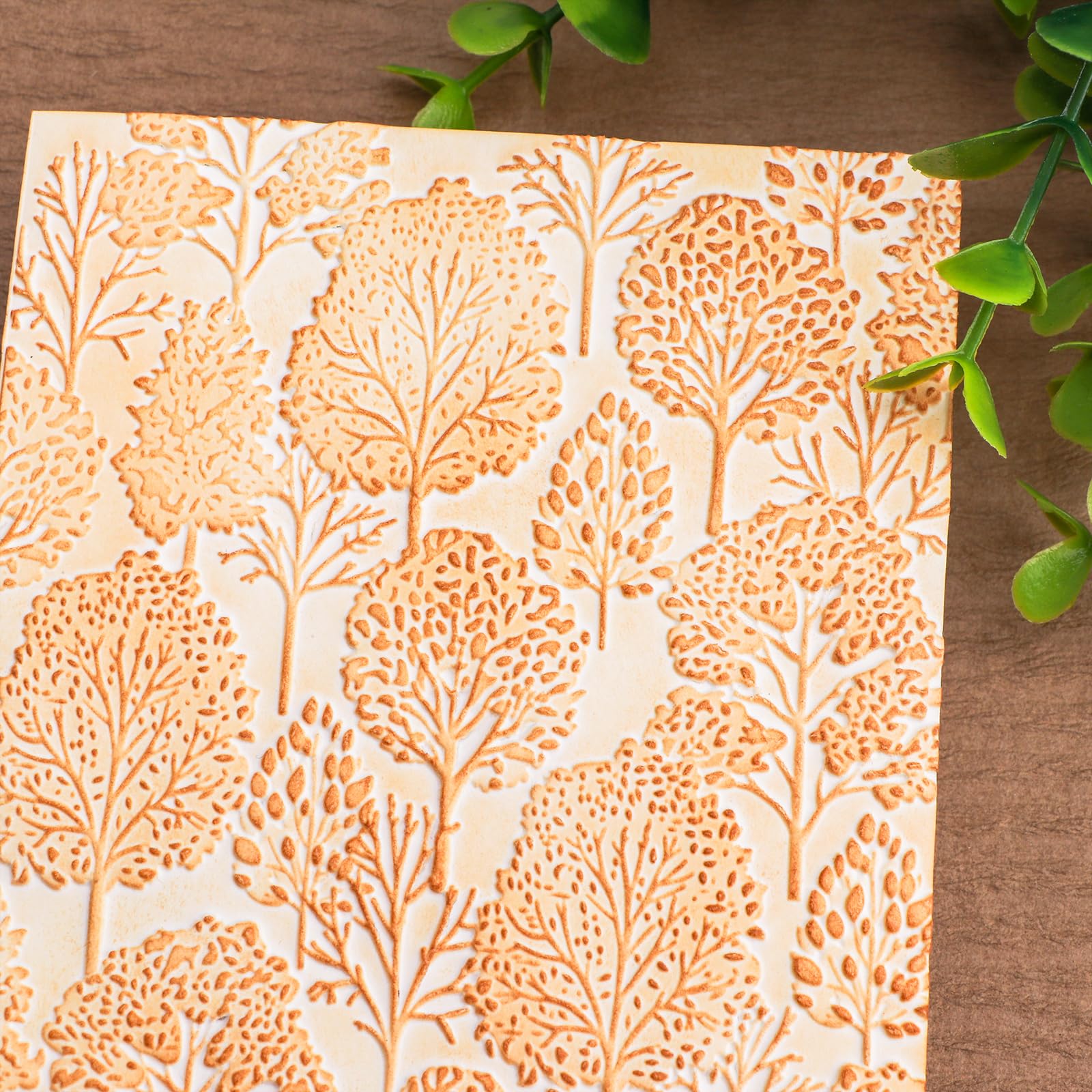 Classeur De Gaufrage 3D 16x11.5 Cm - Pour Scrapbooking, Cartes, Motifs Texture, Plastique Transparent