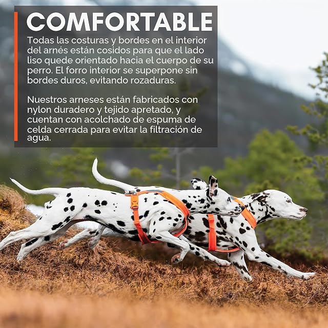 Foto 7 de 8 de Non-stop dogwear línea Arnés 5.0 acolchado para pequeños perros, ideal para senderismo y deporte, con 3 clips