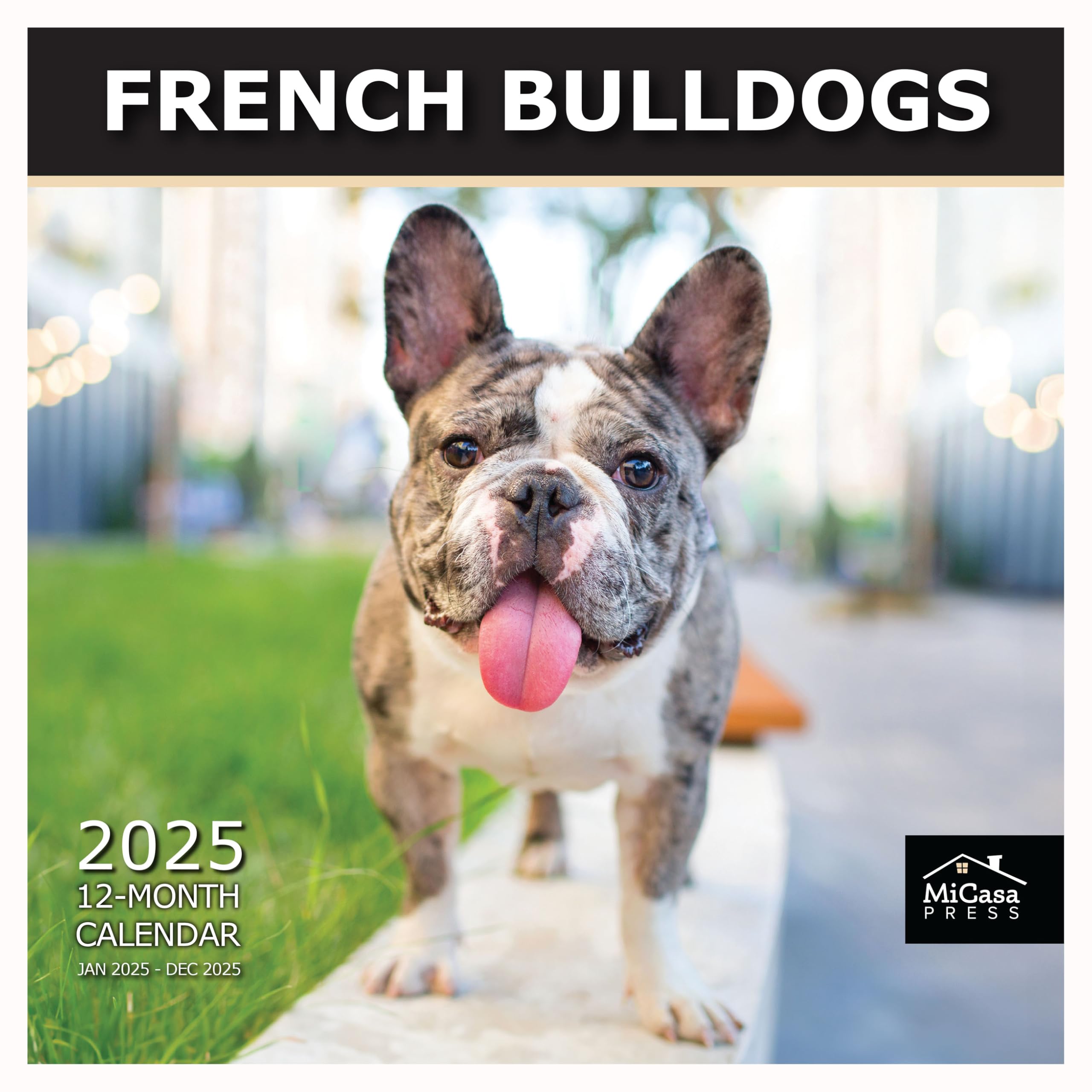 MICASA PRESS - French Bulldogs 2025 Wall Calendar 12 Month | 12" x 24" Open | Thick &amp; Sturdy Paper | Giftable | Calendar 2025