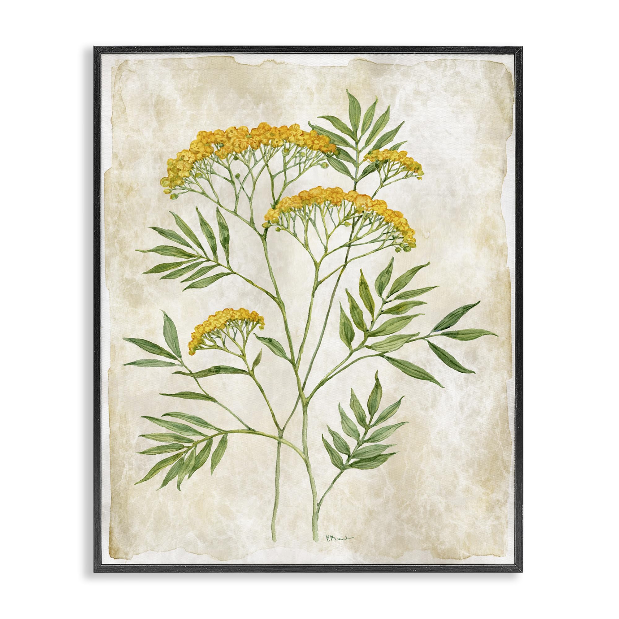 Journal de fleurs vintage encadré Stupell pour un salon élégant