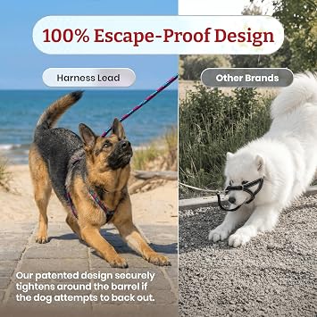 Harness Lead Escape Resistant, Reduces Pull Dog Harness, Medium/Large, Black