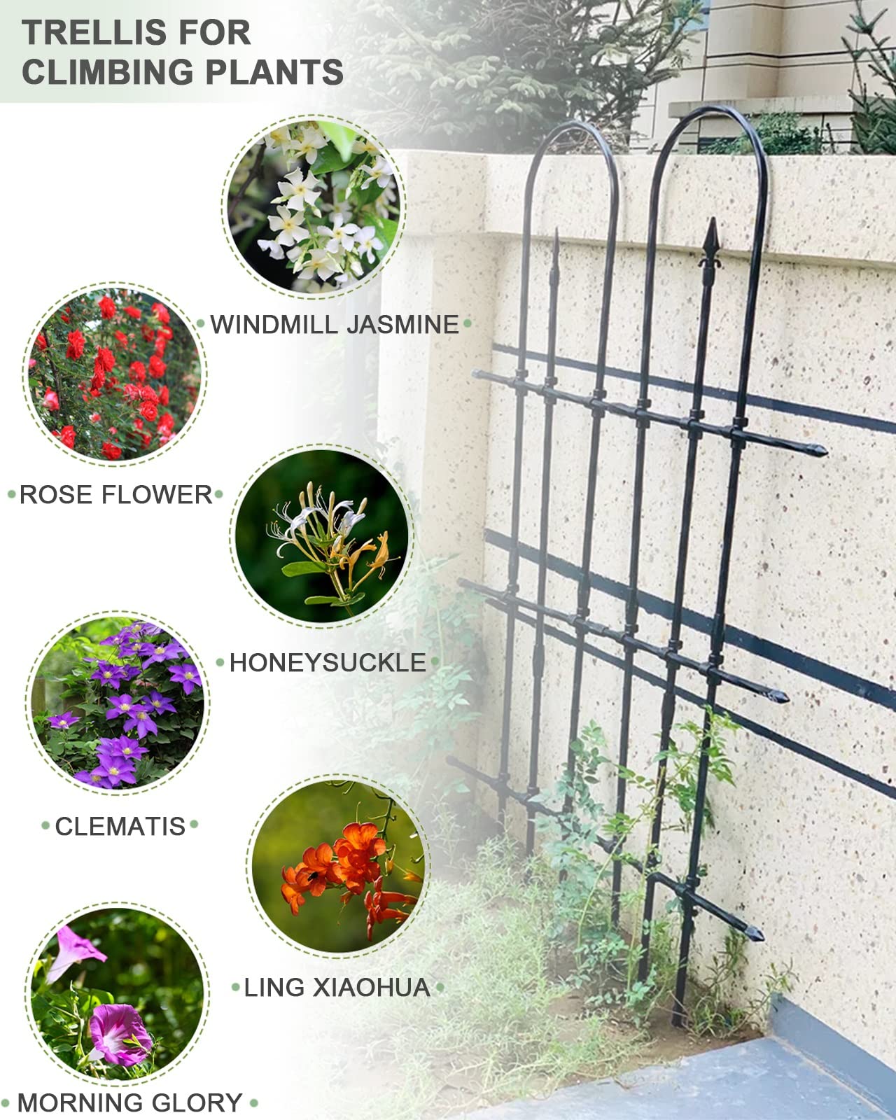 Traliccio da giardino in metallo per piante rampicanti staccabile, pannello di supporto per piante per rose, verdure e fiori cortile nero 208,3 cm di altezza robusto ed elegante