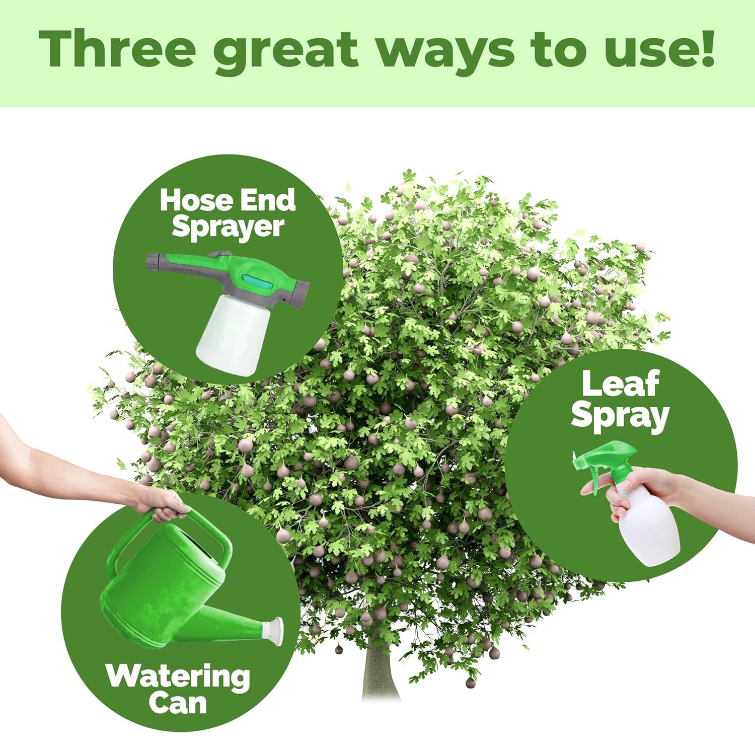 Fig Tree Fertilizer – Liquid Plant Food for Bigger Harvests, Stronger Root Development & Healthy Leaf Growth, 32 oz