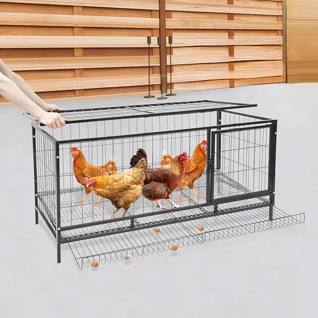 Gallinero para 10 pollos, jaula desmontable de hierro con bandeja para huevos, 120x58x62 cm