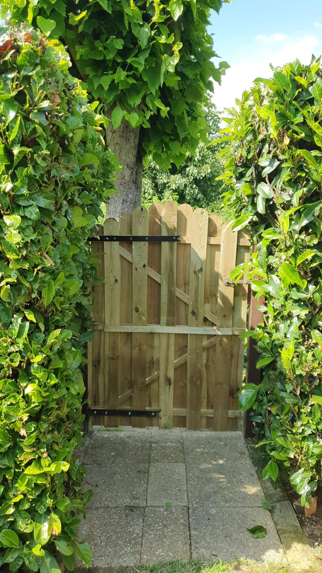 Portillon De Jardin En Bois De Pin Imprégné - 100x100 Cm (L X H), VidaXL - 7