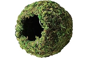 Galápagos 05346 Mossy Cave Hide, 4", Green