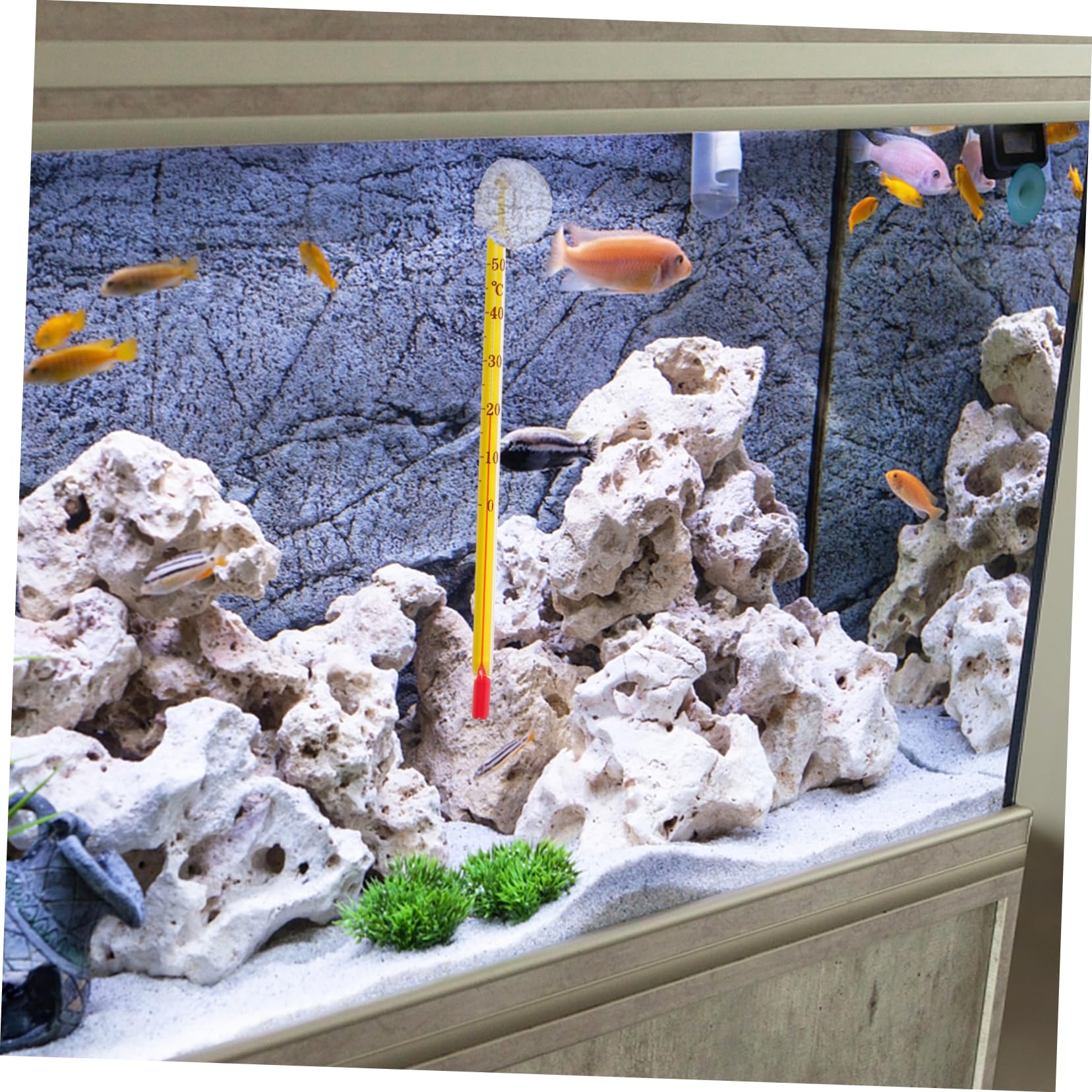 ibasenice 2 Set Termometro Per Acquari Galleggiante Acquario Profondo Accessori Per Acquari Termometro Per Pesci Temperatura Guidato Termometri Digitali Bicchiere 10 Pezzi*2
