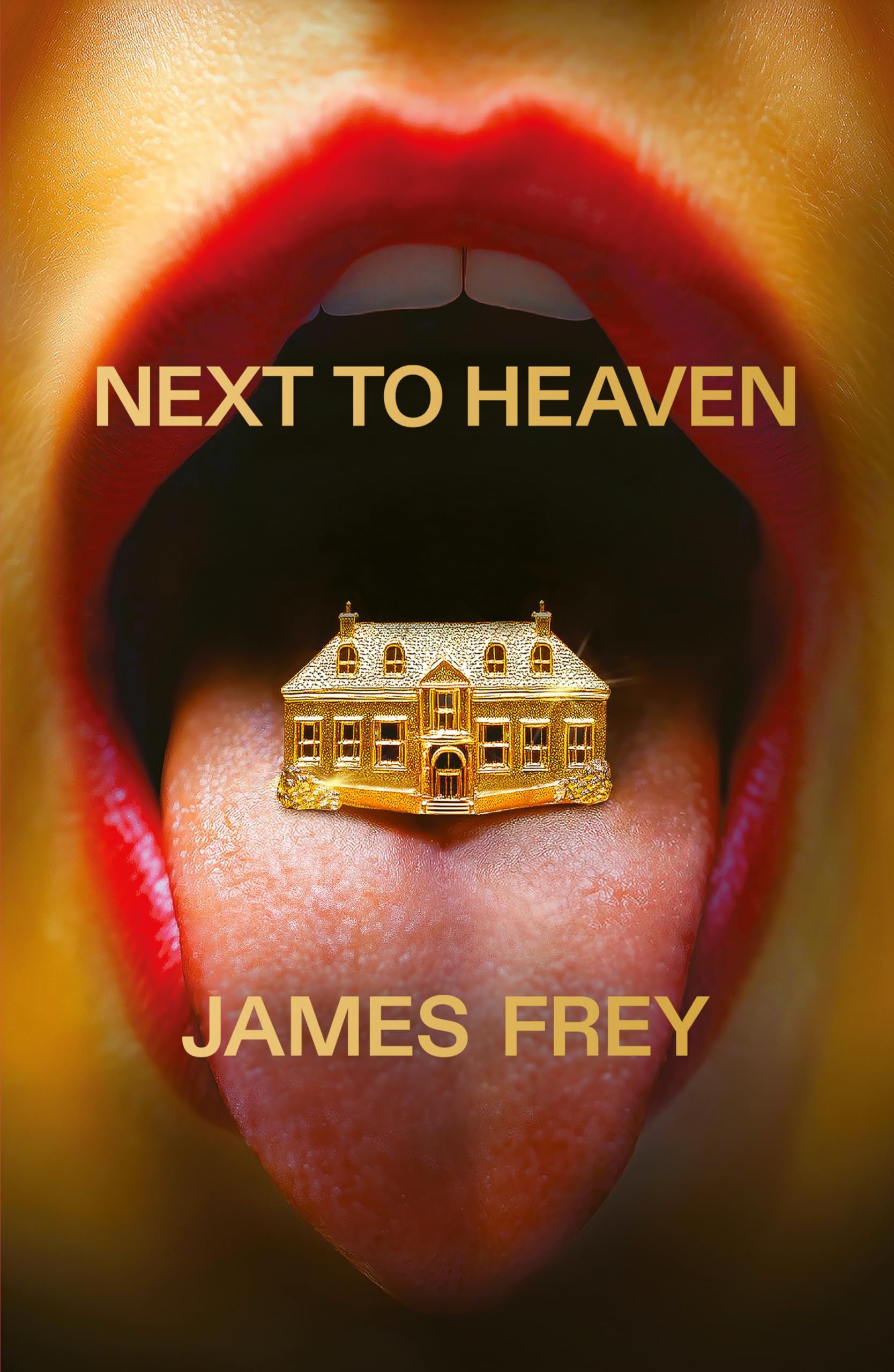 Buy Next to Heaven: The PROVOCATIVE new novel from BESTSELLING author of A Million Little Pieces — BookShops.in