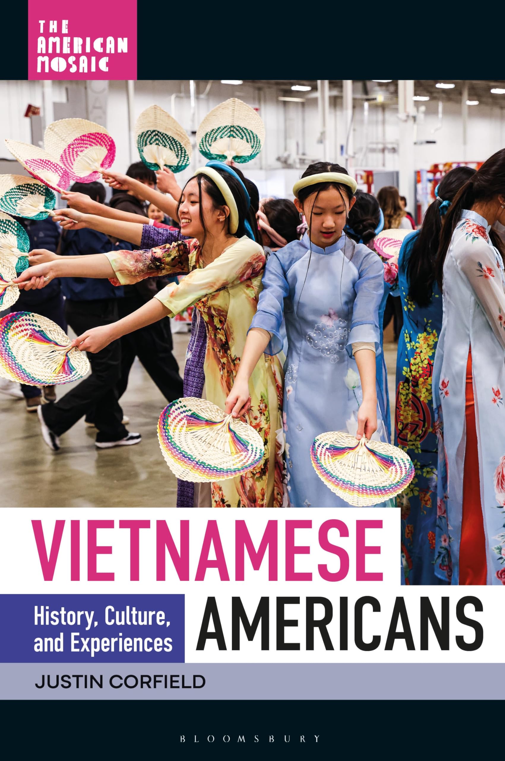 Vietnamese Americans: History, Culture, and Experiences (The American Mosaic)