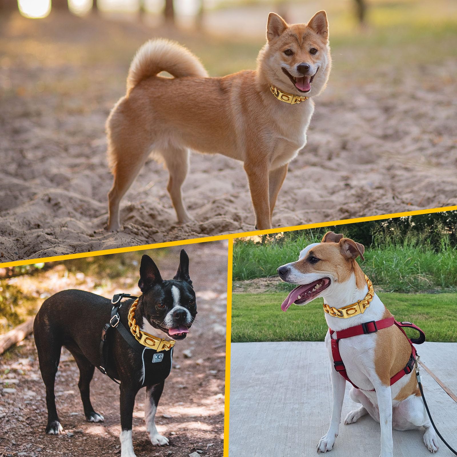 Goldenes Rostfreier Stahl Hundehalsband Metall Hundehalsband Hundekette Pet  Halsband fr mittlere und groe Hunde(40cm) : Amazon.de: Haustier