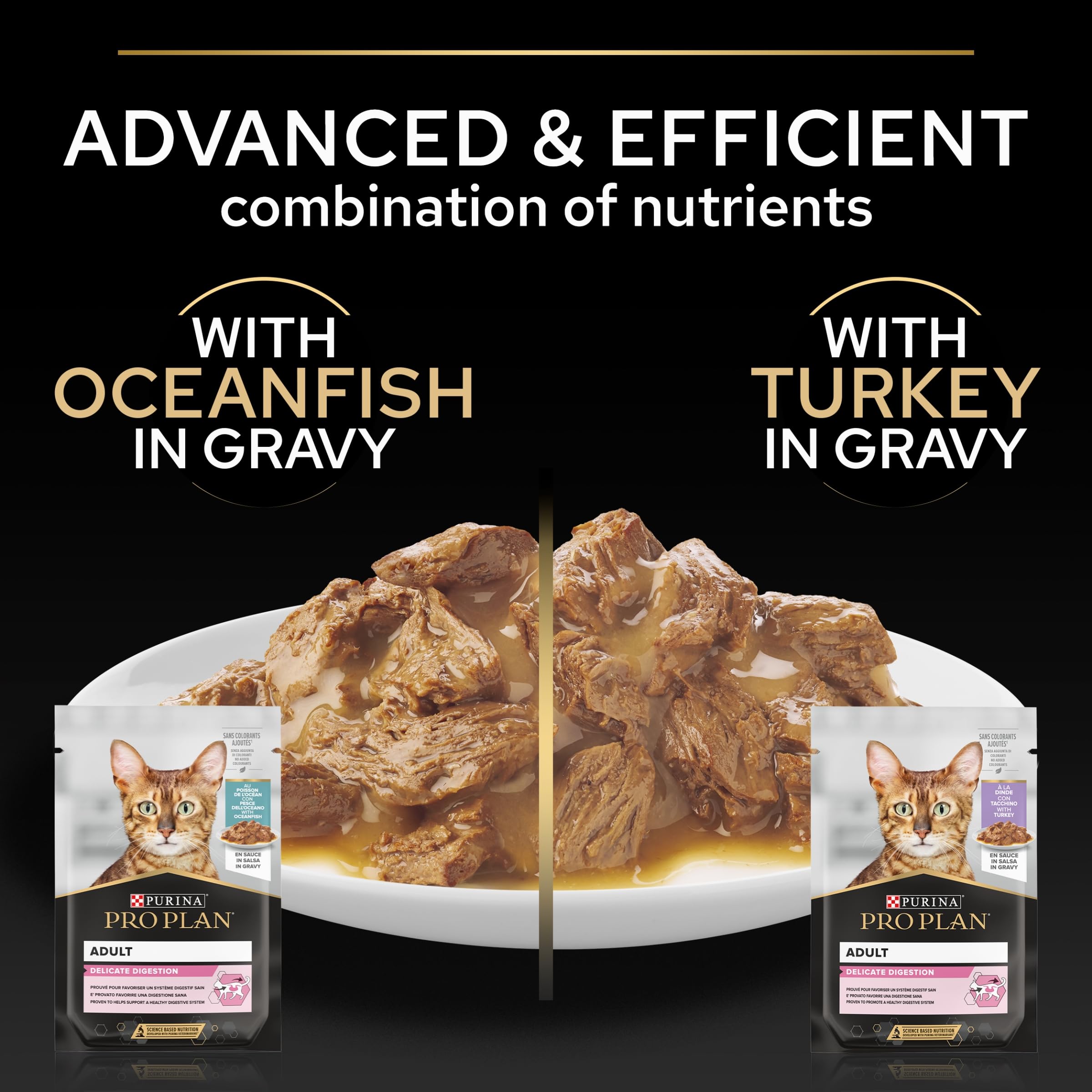 Pro Plan Adulto Delicado Digestión Pavo Pescado Salsa 40x85g