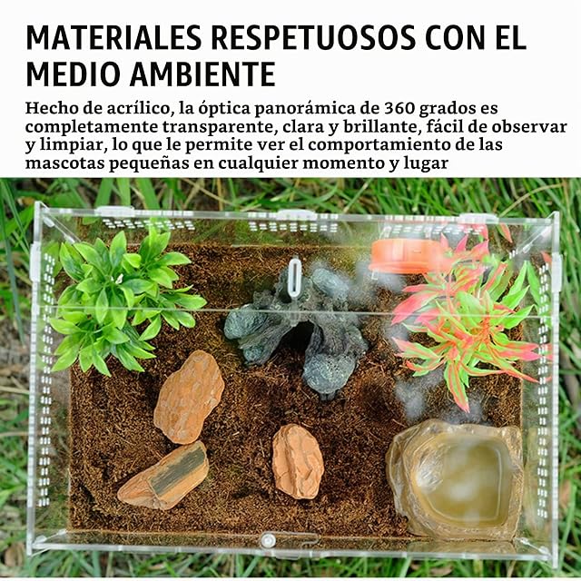 Foto 3 de 8 de Caja de Alimentación de Insectos: Nizirioo 360° Acrílico Transparente, 20cmx12cm x 12cm Terrario Reptiles