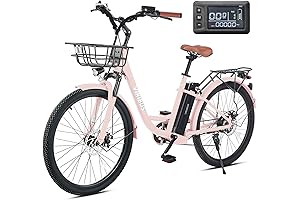 Sleek and Sophisticated: Dalwi Electric Bike for Urban Adventures