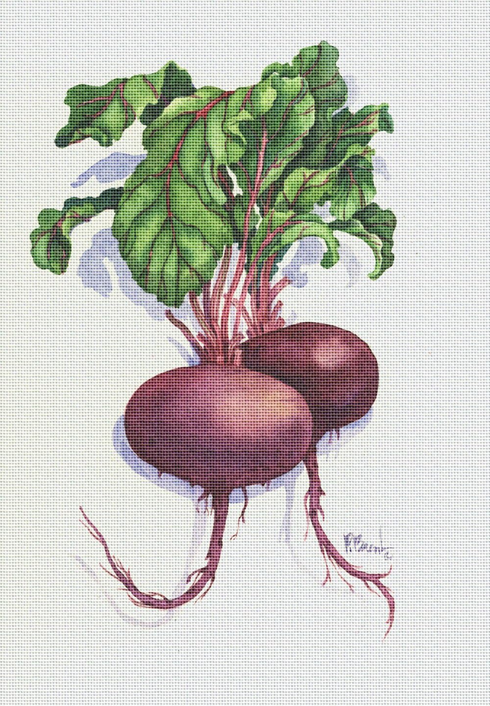 Art Needlepoint Beets Needlepoint Kit by Paul Brent