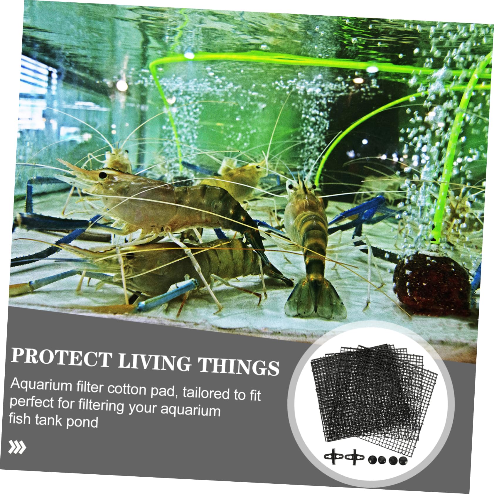 BESTonZON Plaques de Séparation pour Aquarium avec Ventouses Plaques de Filtration pour Fond de Bac Séparateurs Modulables pour Isolation et Protection des Poissons