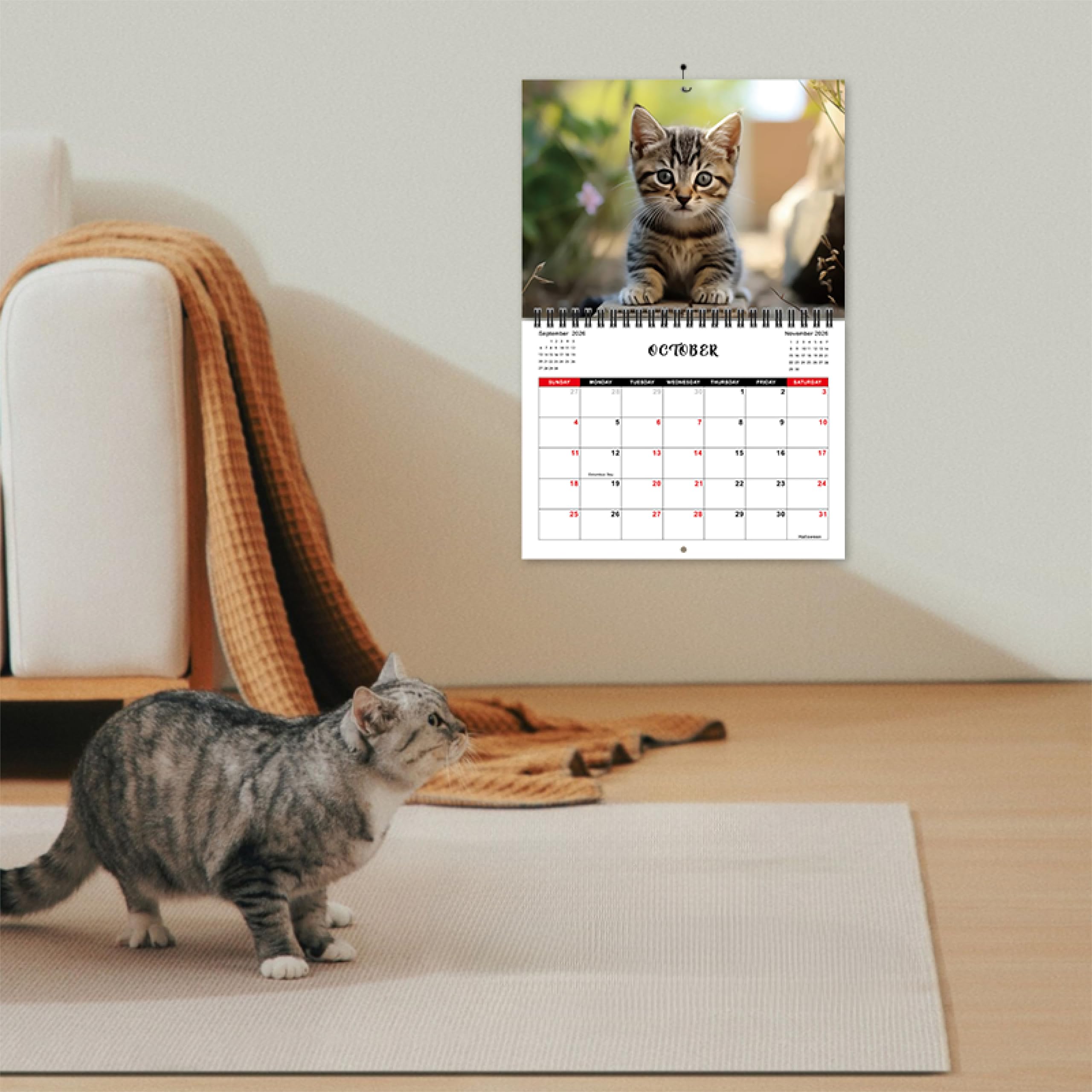 Calendario de pared de gato 2026, calendario de pared 2026, año completo de 12 meses, enero de 2026 a diciembre de 2026, tamaño 8 x 11 pulgadas, diseño de doble encuadernación, bonito calendario de