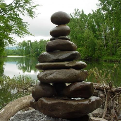 Zen Garden Live Wallpaper