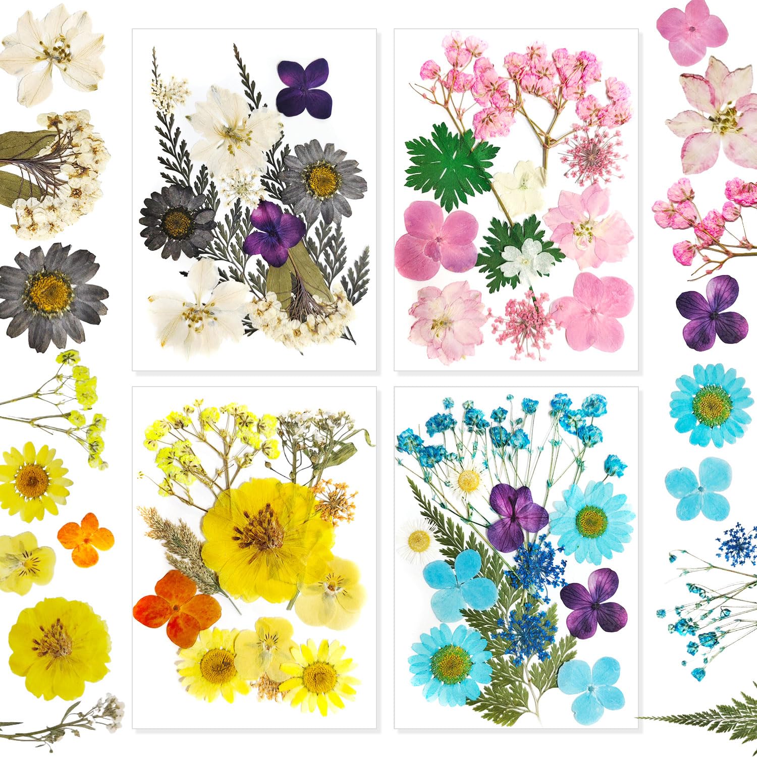 Fiori Secchi Pressati Per Resina - Kit DIY Per Candele, Unghie E Decorazioni - Foto 6