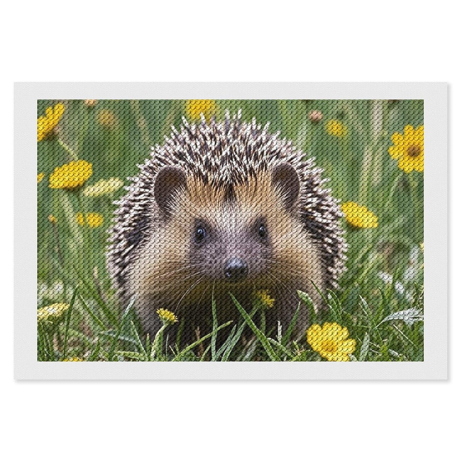 Hedgehog Diamond Painting Kits for Adults, DIY 5D Diamond Painting Kits for Beginners, Round Full Drill Diamond Dots Paintings, Diamonds Pictures Gem Art for Crafts Home Decor 8"x12"