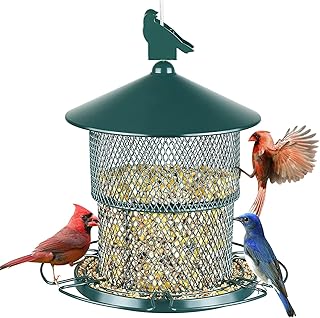 Wild Bird Feeder Squirrel Proof, Metal Bird Seed Feeders for Outside Hanging, Retractable Outdoor Feeder, Heavy Duty Metal Seed Feeders with Large Capacity for Garden Wild Birds