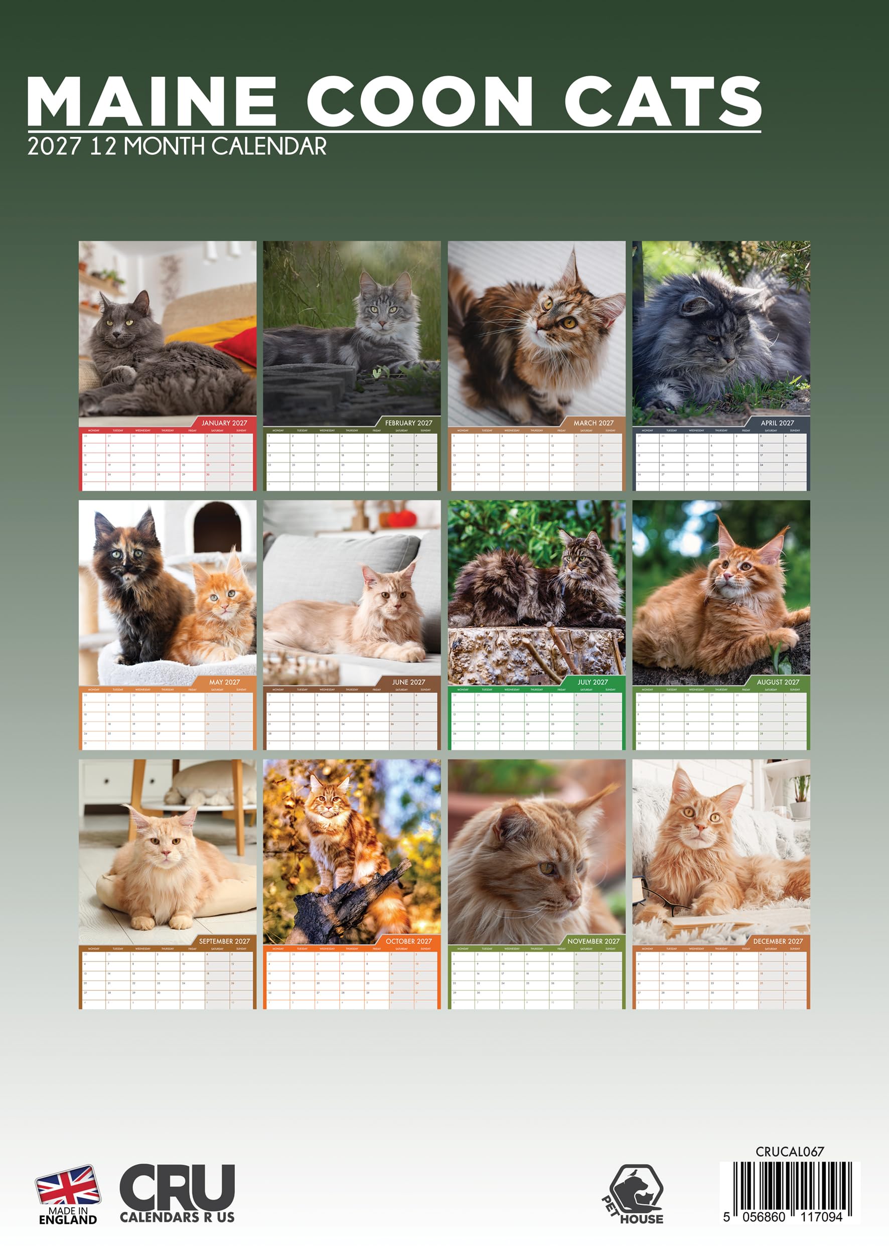 Maine Coon - Calendario 2027 con gatti, formato A3, a colori, rilegatura a spirale (CRU)