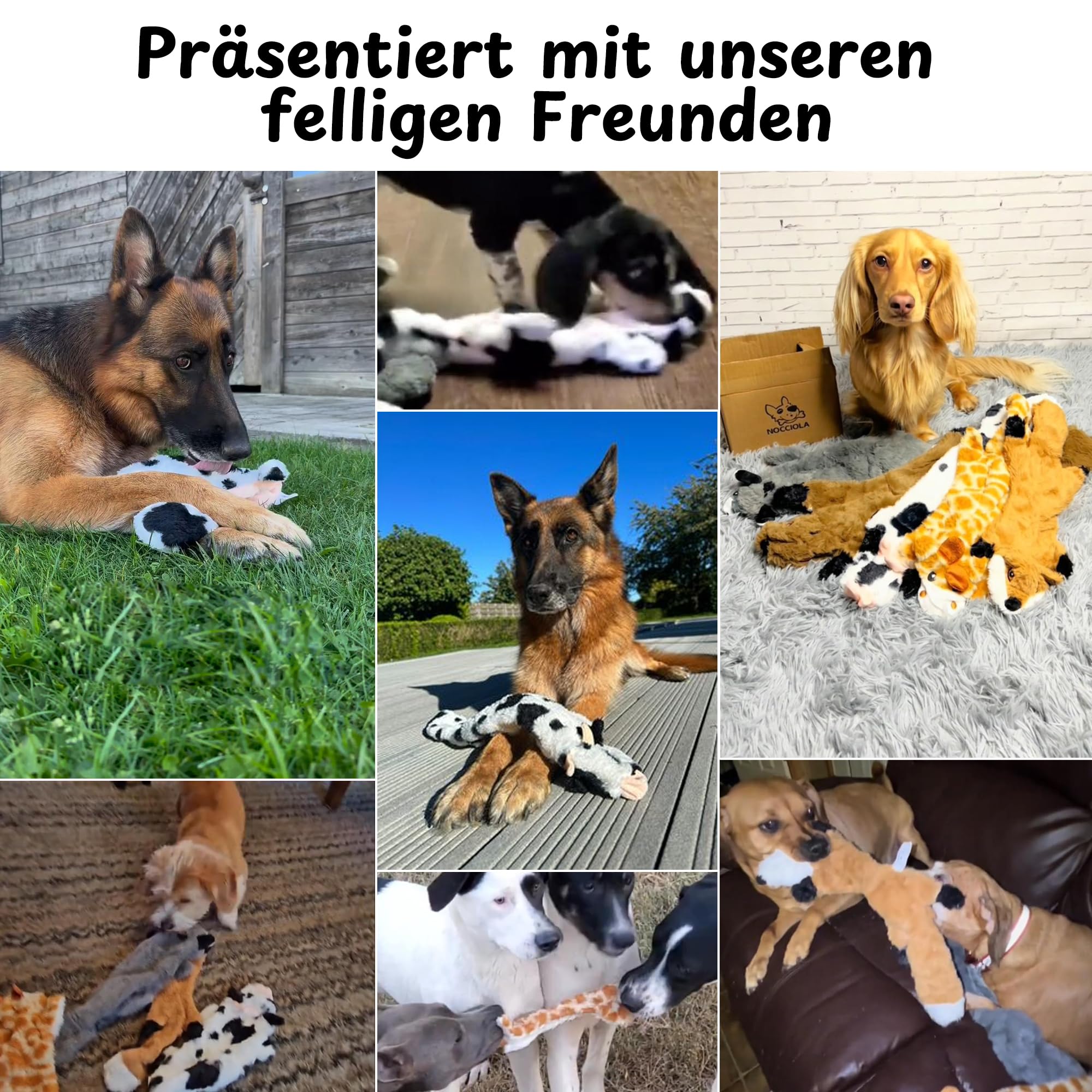 Nocciola 5 Pack Hundespielzeug Unzerstörbar, Quietschendes Hundespielzeug Set ohne Füllung, Ideale Plüschspielzeug für Hunde Selbstbeschäftigung und Tauziehen, für Welpen, Kleine bis Große
