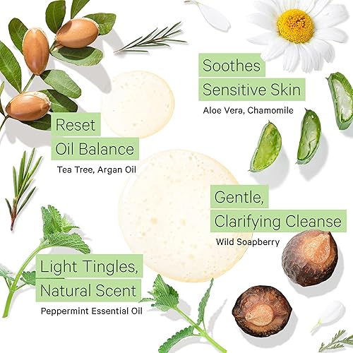 Miniatura 3 de Tree To Tub Champú de menta para cabello graso y cuero cabelludo sensible champú aclarante suave para la acumulación de cabello sin sulfatos y