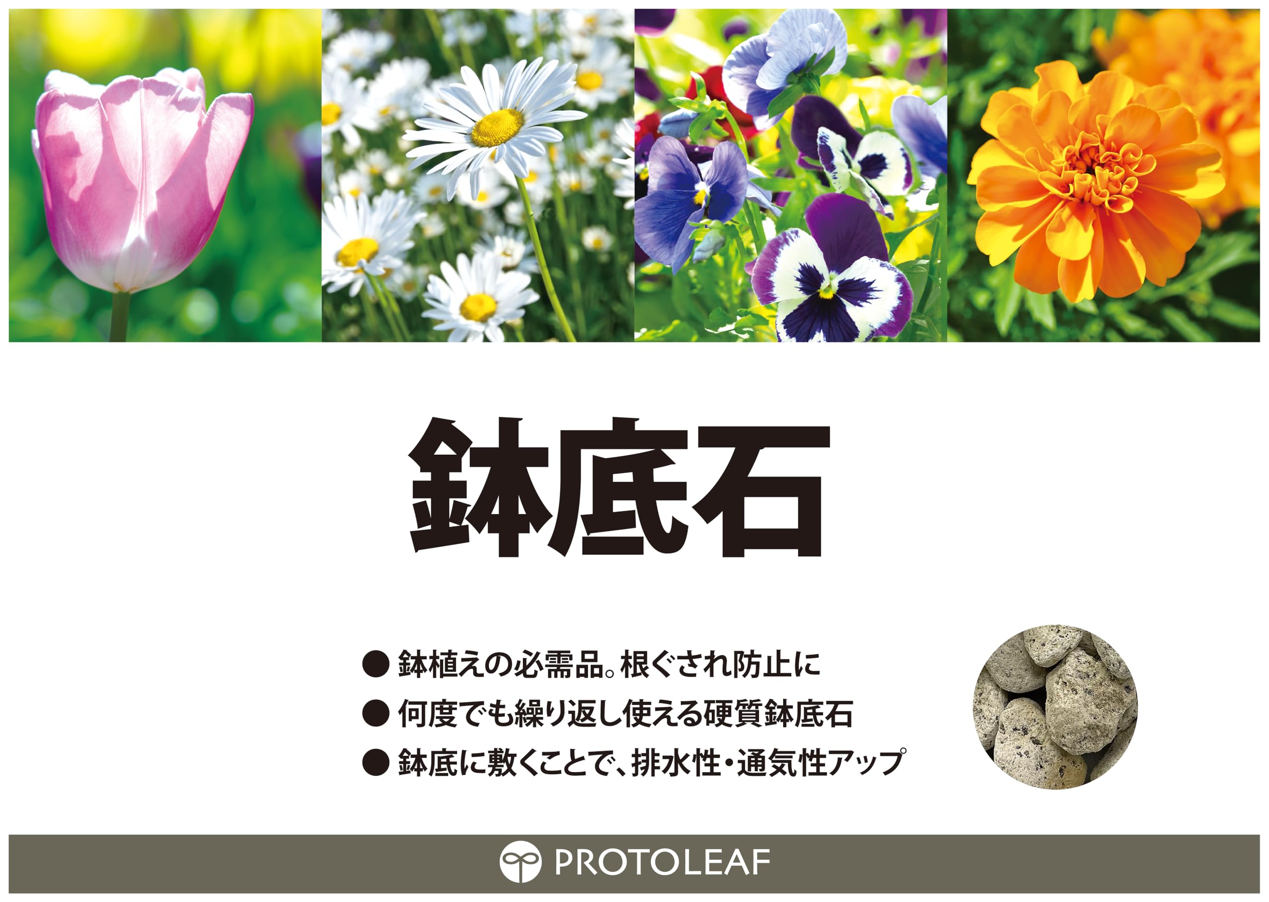 オーダー専用軽石鉢 81Rg1yrVwOL._UF350,350_QL50_.jpg