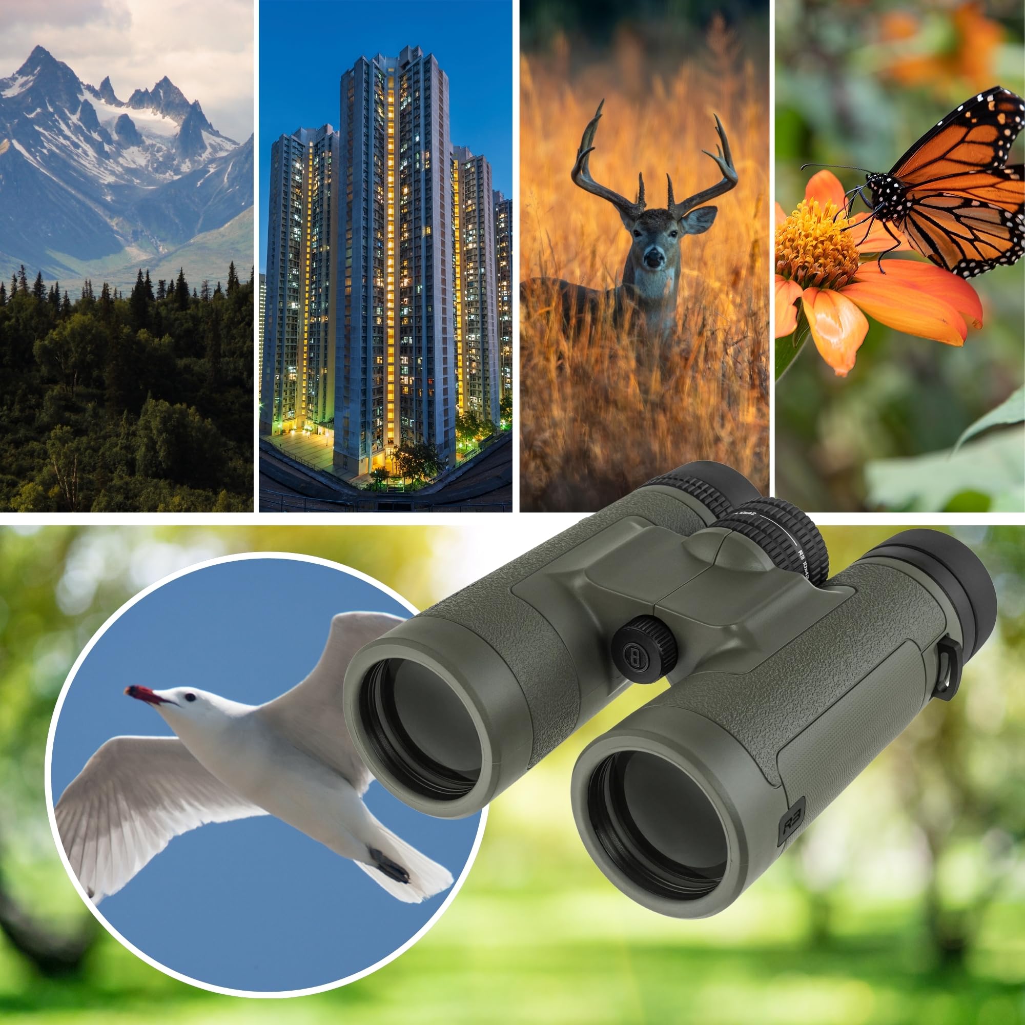 Bushnell Vault Lite Jumelles R3 10 x 42 avec harnais de poitrine Bino Système optique HD, lentilles entièrement multicouches, barrière EXO, étanchéité IPX7 – Jumelles pour l'observation des oiseaux et