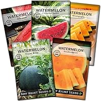 Sow Right Seeds Watermelon Collection: Crimson Sweet, Allsweet, Sugar Baby, Tendersweet, Orangeglo - Non-GMO Heirloom Seeds for Home Garden