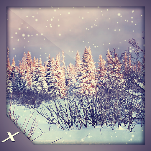 Twilight Snowfall Ambience - Walk into Forest of Memories