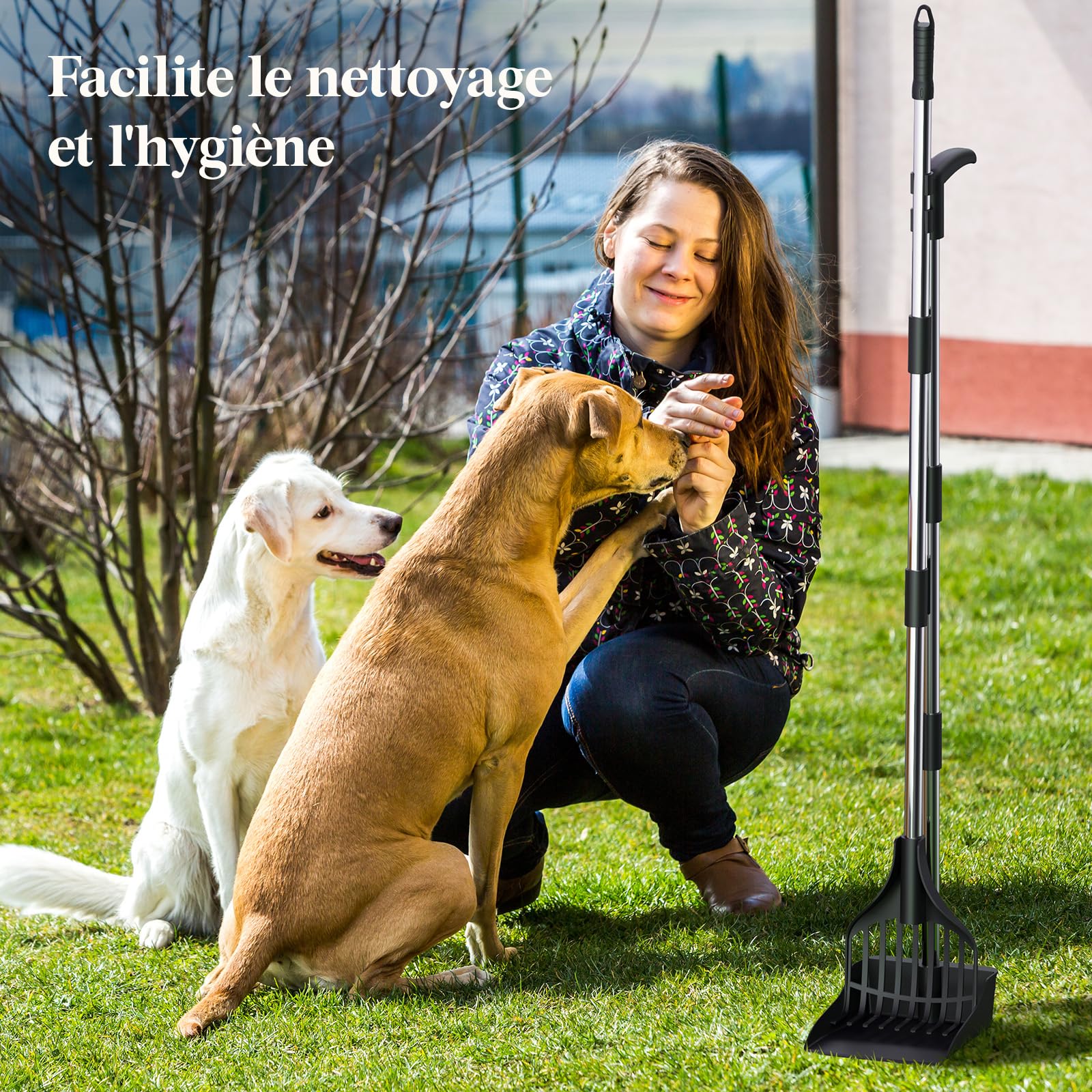 Lifewit Pelle à déjections canines en plastique pour chiens de taille moyenne et petite, poteau réglable en métal inoxydable à long manche avec râteau et plateau pour pelouses, cour, herbe