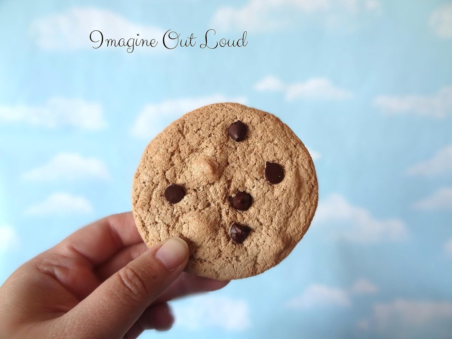 Faux Chocolate CHIP Cookie Set Fake Food Prop