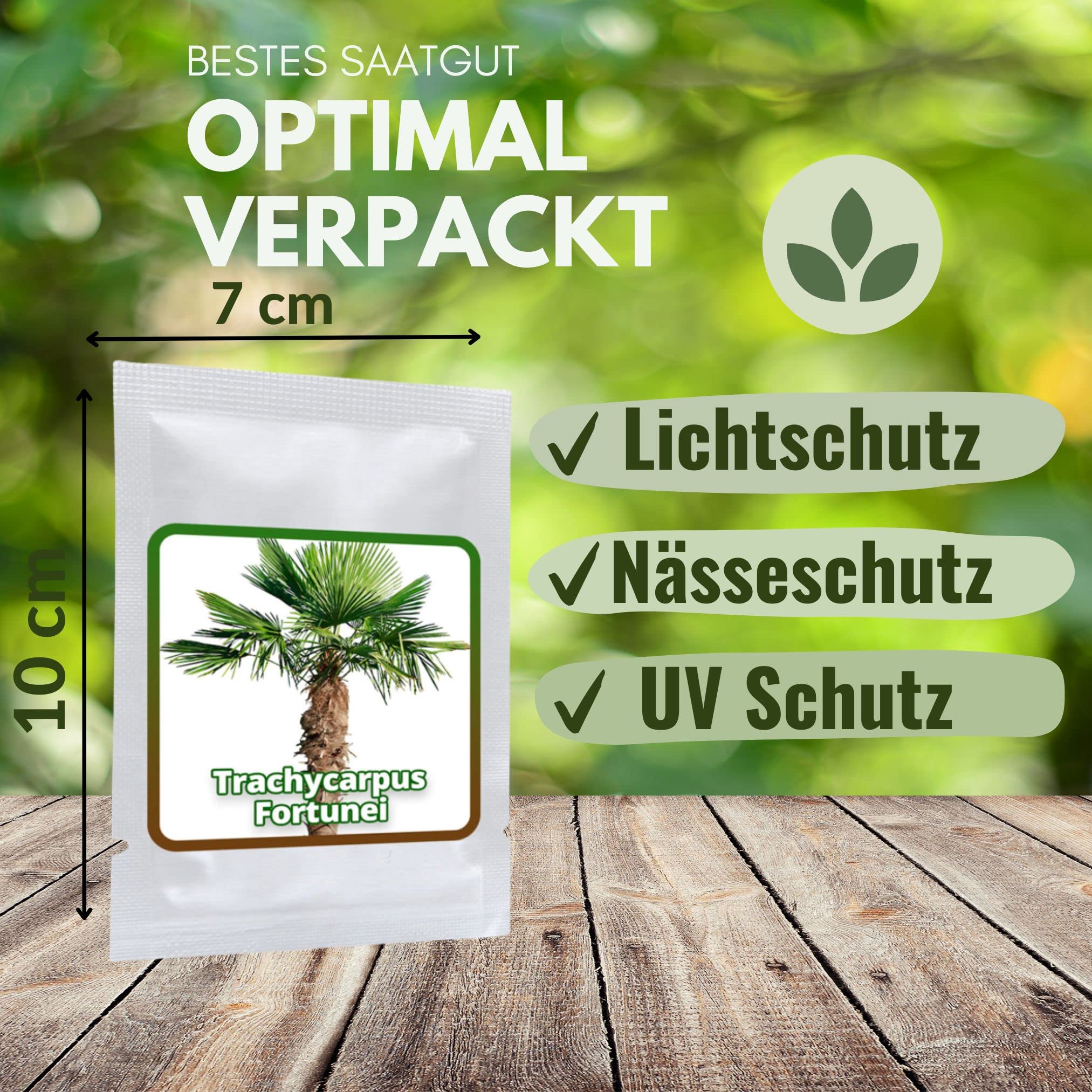 Palmensamen Winterhart DraußEn Chinesische Hanfpalme KüBelpflanzen