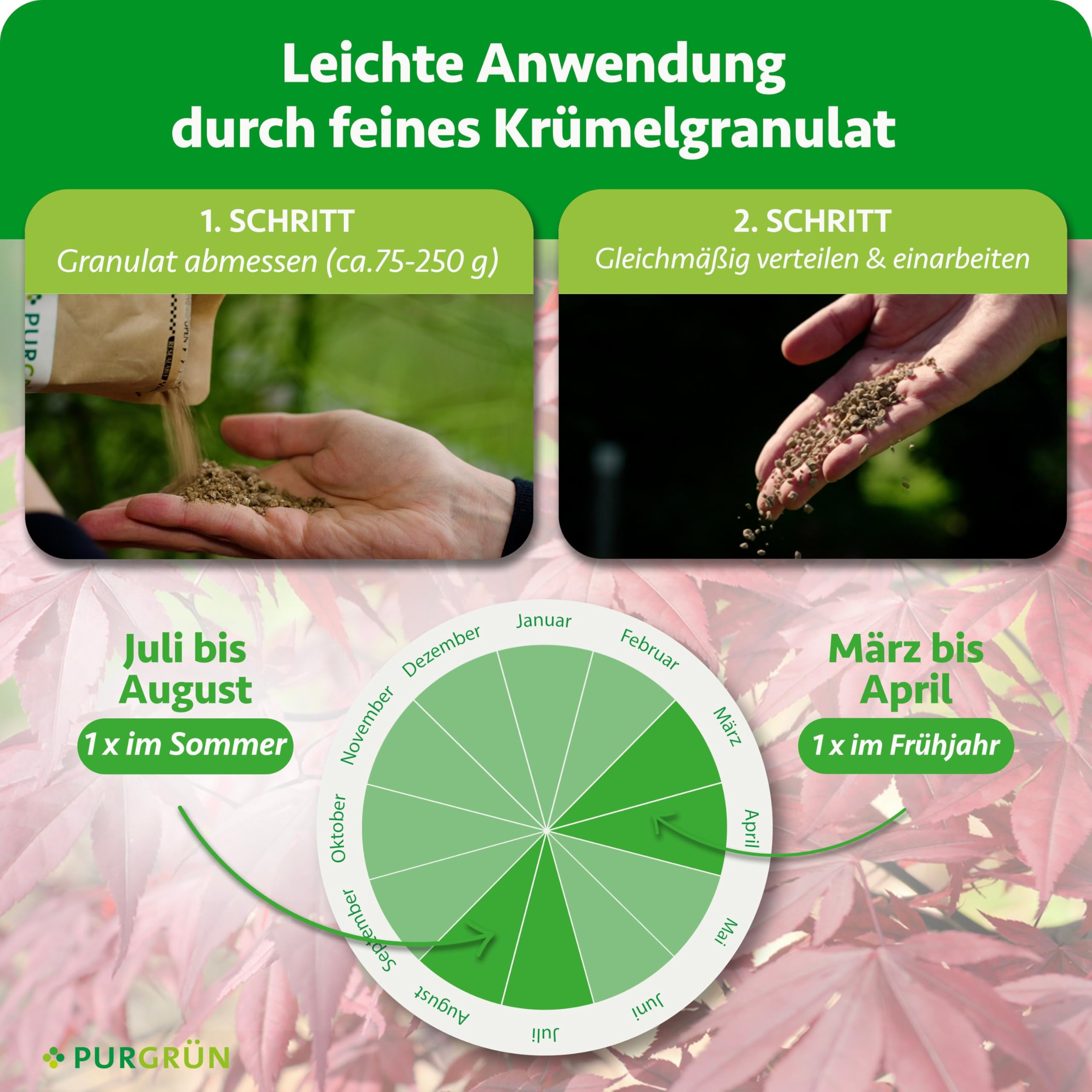 Japanischer-Ahorn-Dünger 1 kg – Organisch-mineralische Rezeptur – Feinkörniges Krümelgranulat – NPK 5+4+6 – Extra Magnesium für eine intensive Blattfärbung – Verbessert die Bodenqualität