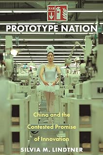 Prototype Nation: China and the Contested Promise of Innovation (Princeton Studies in Culture and Technology)