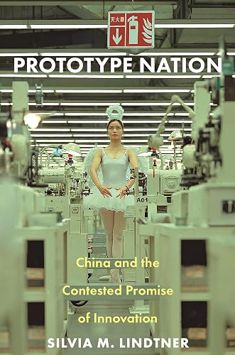 Prototype Nation: China and the Contested Promise of Innovation: 30 (Princeton Studies in Culture and Technology, 29)