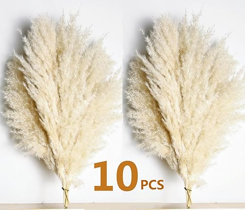 Miniatura 6 de 10 piezas de decoración de hierba de las pampas beige, pompas secas naturalmente, colas de conejo, flores secas y eucalipto seco. Perfecto para