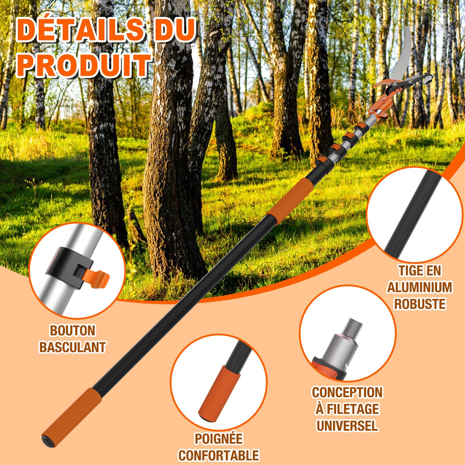 SISUPASSIE Scie à Perche Télescopique 6m avec Hampe Extensible de 1,5 à 6m, Ébrancheur Manuel pour Jardin, Cour et Terrasse