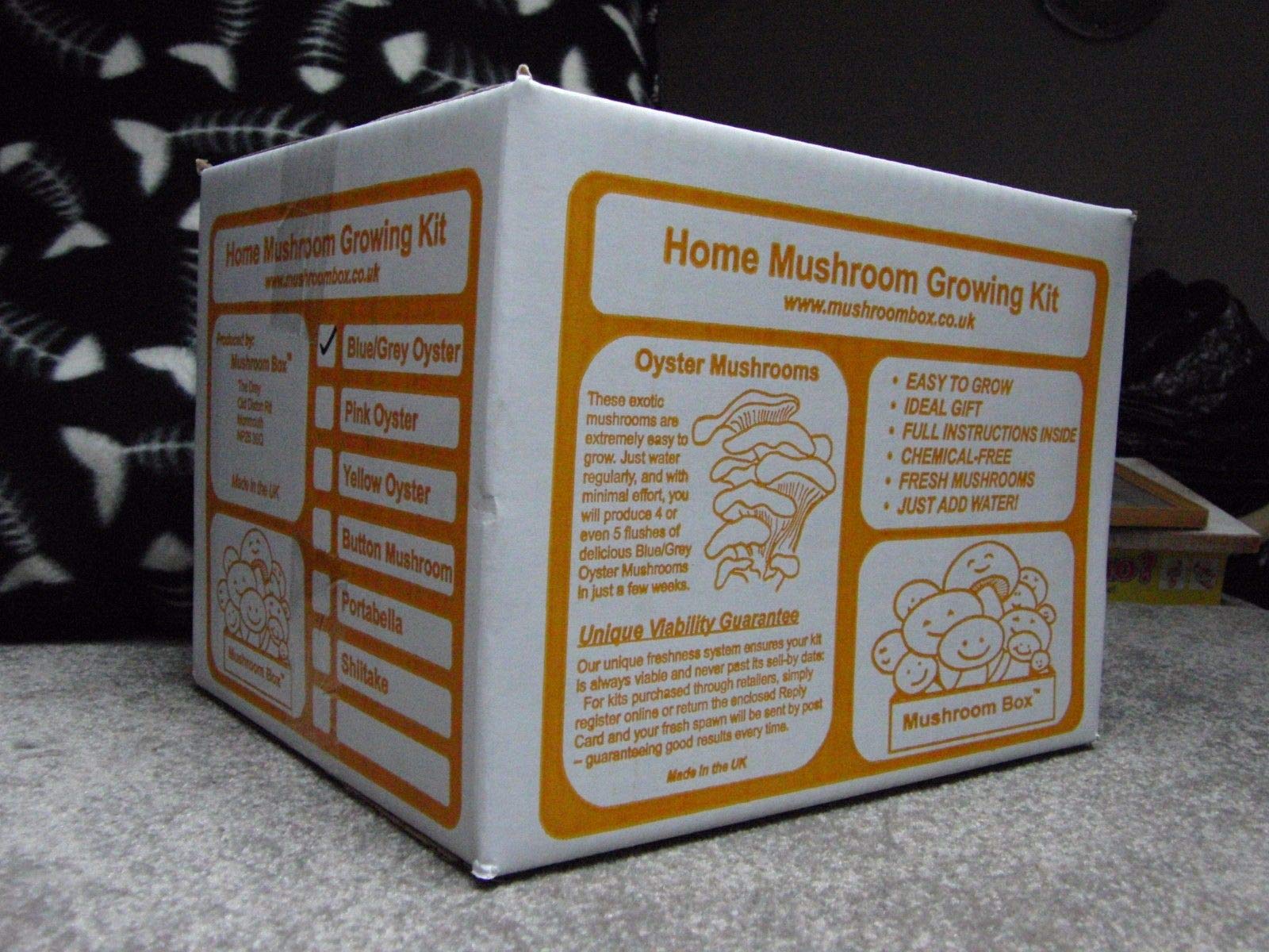 Mushroom Growing Kit - Pink Oyster: Package Contains Seeds