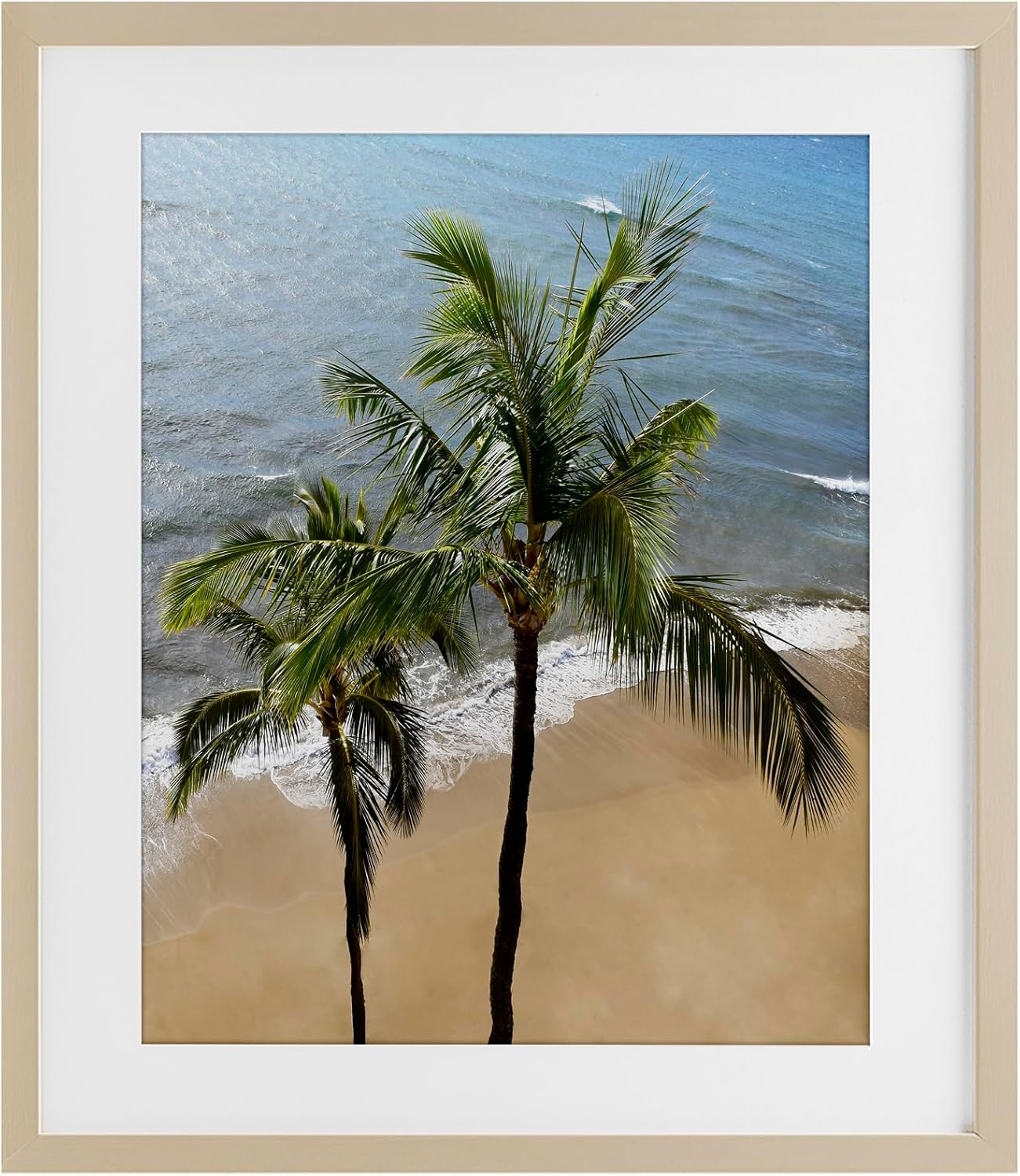 Stupell Industries Maui Palm Beach Coast Birch Framed Print Under Glass design by Natalie Carpentieri, 16 x 13