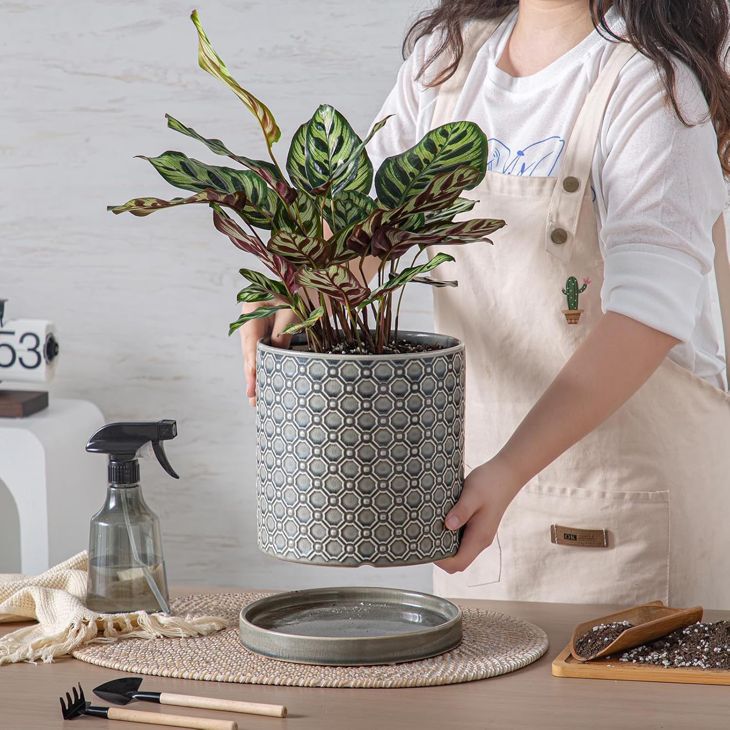 8 Inch Plant Pot: Ceramic Planter with Drainage Hole & Saucer Indoor Outdoor Plants - Cylinder Round Flower Pot for Home Office - Modern Decorative - Medium Grey - Image 3