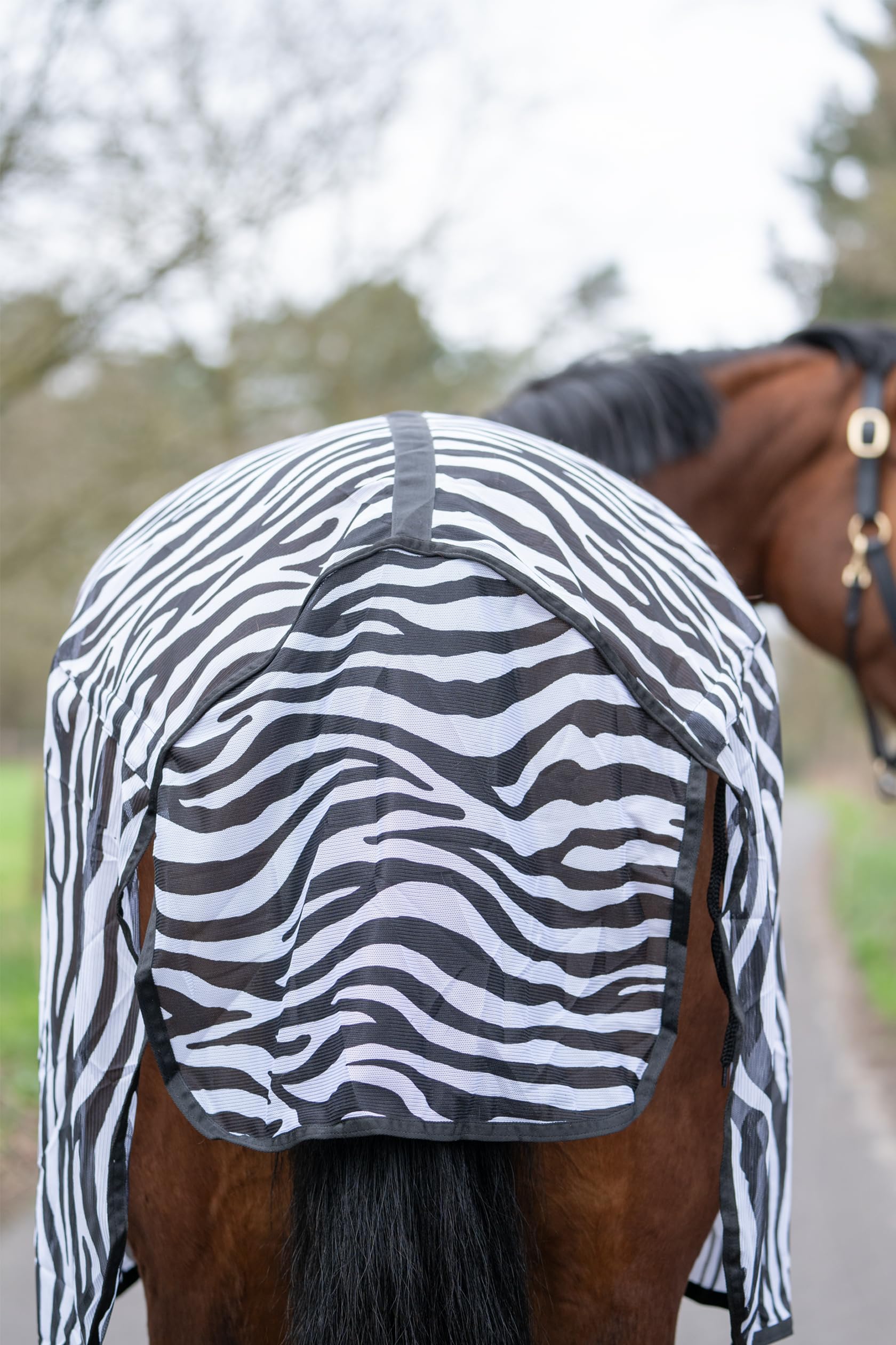 HKM 4668 Zebra - Coperta per cavallo, con cintura incrociata, 145 cm