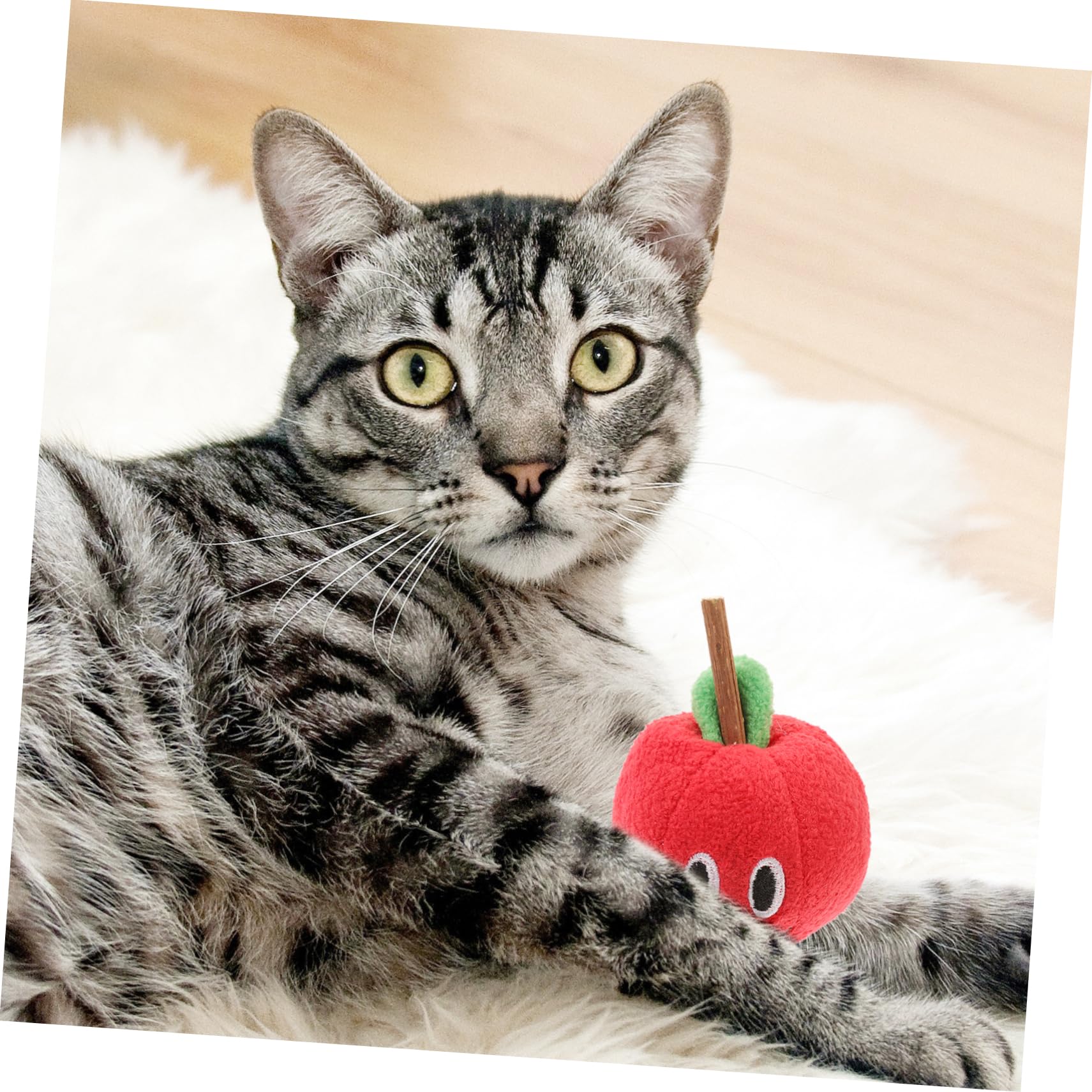 Happyyami Jouet pour Chat Silvervine de Fruit, Peluche Rouge | Actinidia Polygama, pour Chats, Lot de 1, Présent pour Amis Félin à Maison